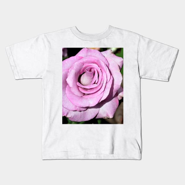 Purple Rose Bloom Kids T-Shirt by KirtTisdale